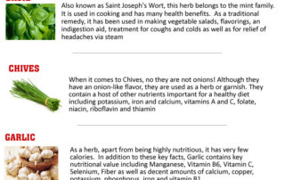 herbs
