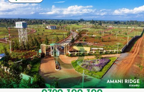 Amani Ridge -Value Added Plots For Sale in Kiambu