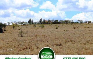Sold Out: Wisdom Gardens- Konza