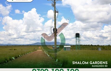 Shalom Gardens. Sold Out Projects by Optiven in Kantafu along Kangundo Road