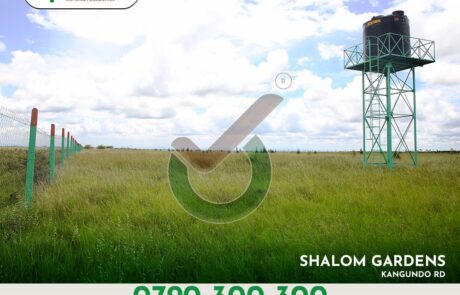 Shalom Gardens. Sold Out Projects by Optiven in Kantafu along Kangundo Road
