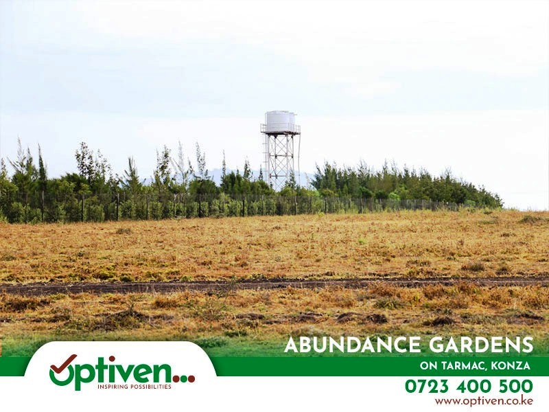 Abundance gardens - value added plots for sale in Konza