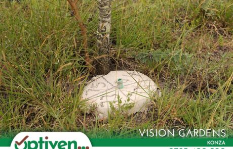 Vision Gardens - Sold Out Plots in Konza.