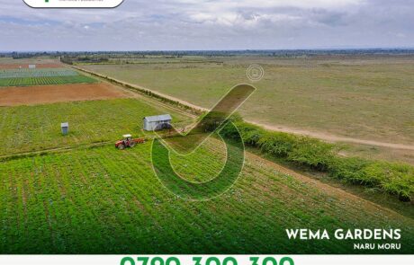 Wema Gardens. Leasehold Plots for sale in Naru Moru