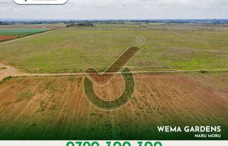 Wema Gardens. Leasehold Plots for sale in Naru Moru