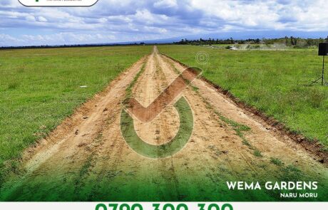 Wema Gardens. Leasehold Plots for sale in Naru Moru