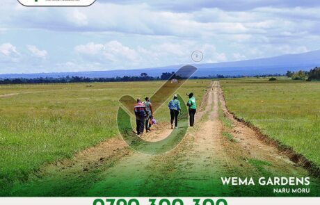 Wema Gardens. Leasehold Plots for sale in Naru Moru