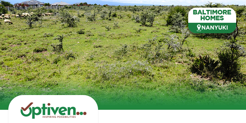 BALTIMORE Baltimore Homes. Sold Out Projects by Optiven in Nanyuki.