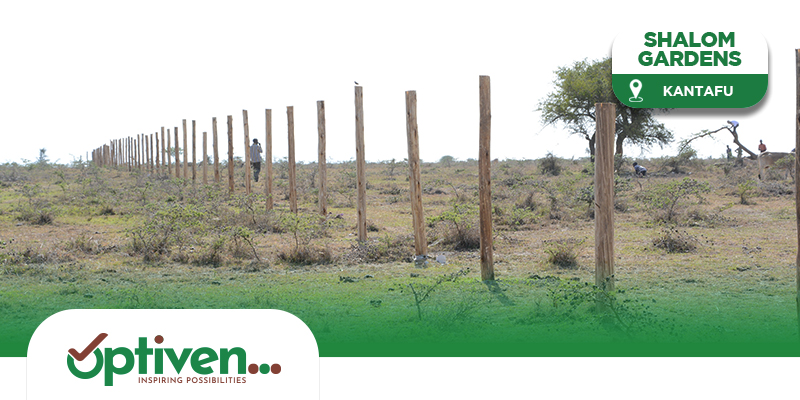 Shalom Gardens. Sold Out Projects by Optiven in Kantafu along Kangundo Road