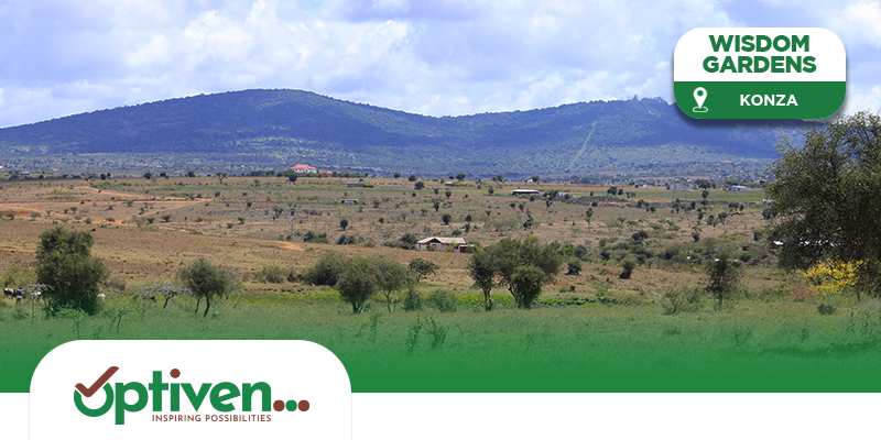 WISDOM Wisdom Gardens. Sold Out Projects by Optiven in Konza.