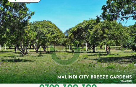 malindi city breeze: plots for sale in malindi