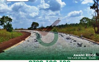 Amani Ridge - Value Added Plots for Sale in Kiambu
