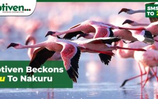 Optiven projects coming to Nakuru