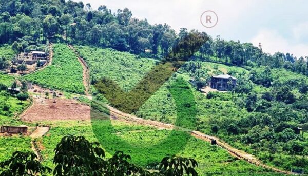 Praise Gardens Riat, Kisumu: Plots for Sale in Kisumu City