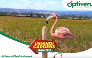 Ushindi Gardens - Value Added Plots for sale in Nakuru