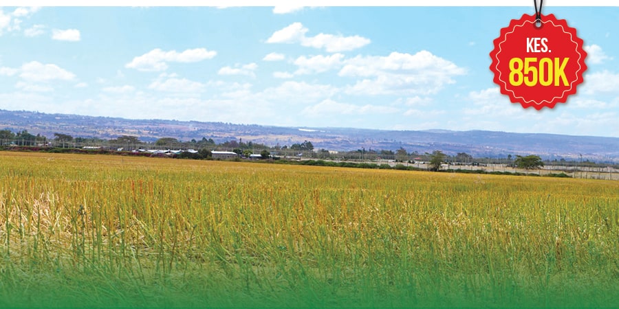 Ushindi Gardens - Value Added Plots for sale in Nakuru