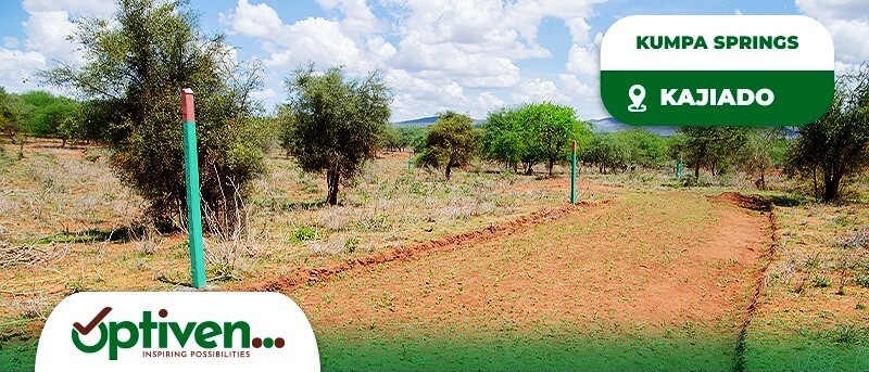 kumpa springs – kajiado