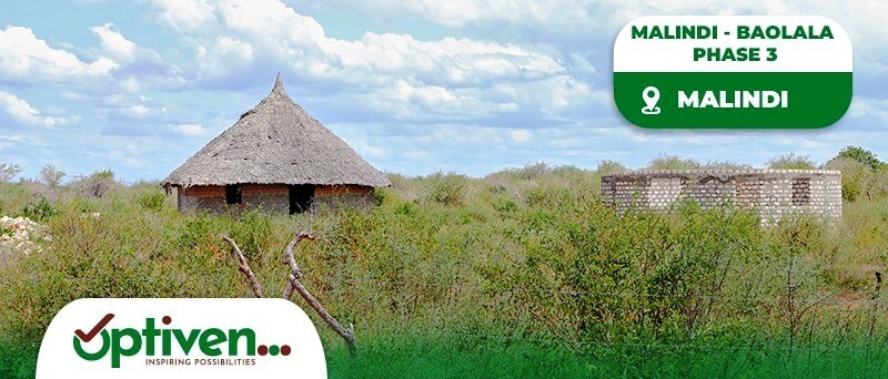 malindi baolala 3
