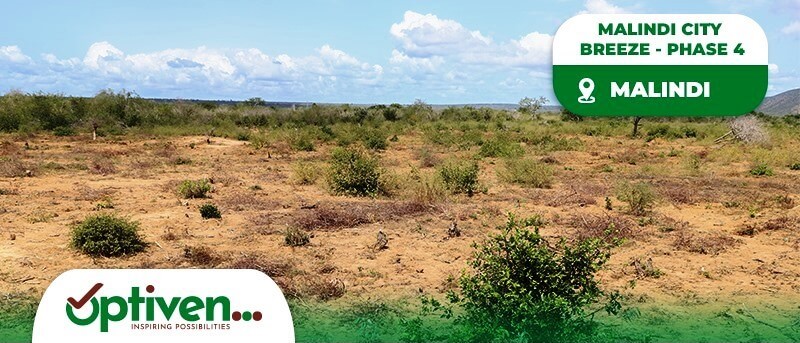 malindi phase 4